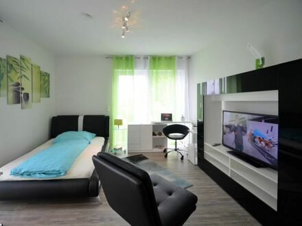 Schönes 1-Zimmer-Apartment, möbliert & ausgestattet, zentral in Raunheim