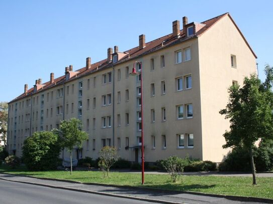 Neu sanierte 3-Raumwohnung mit Balkon