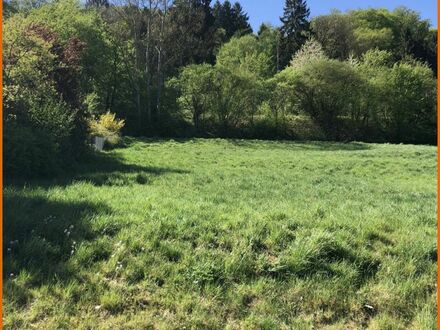 Bauplatz mit toller Fernsicht, voll erschlossen in ruhiger Ortslage von Ahlersbach