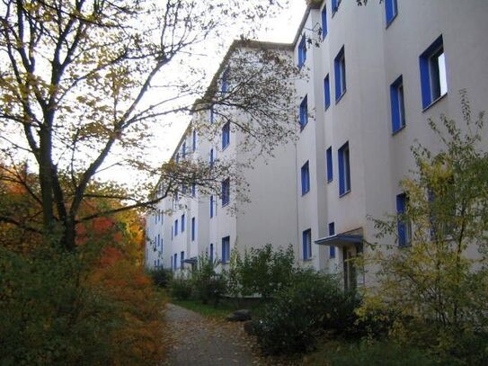 2-zimmer-etagenwohnung-mit-balkon-zur-miete-in-berlin-britz