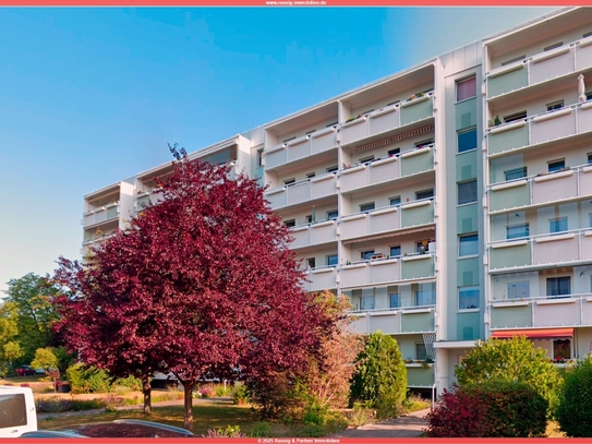 Gepflegte Erdgeschosswohnung im begehrten Dresdener Süden – WBS 70 mit 62,4 m²!