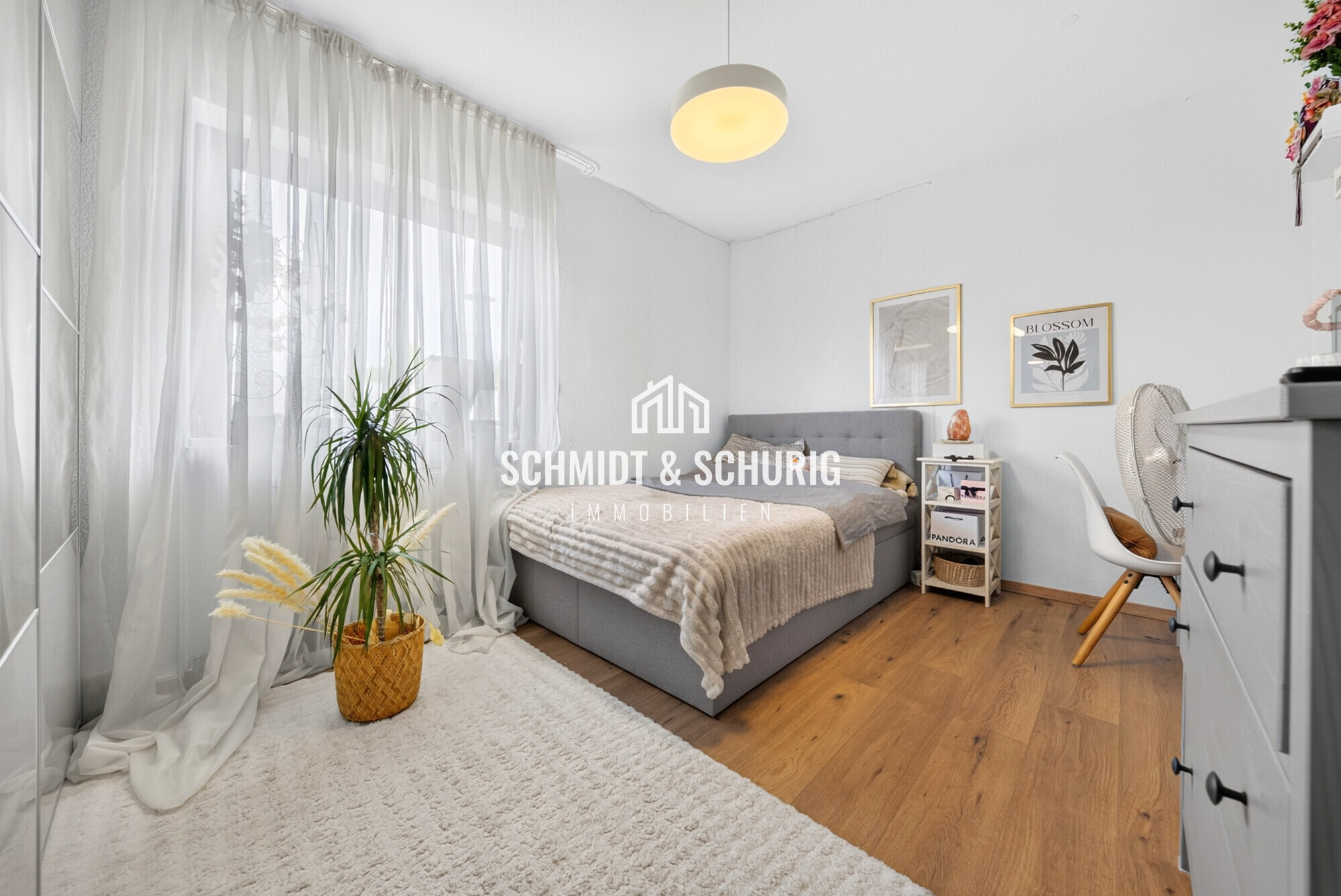 Real Estate Title Image Background