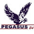 Pegasus GmbH