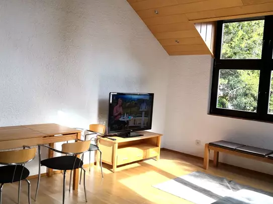 Modern flat in Mainz