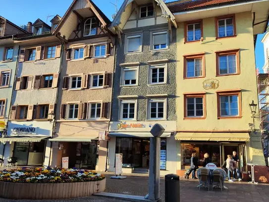 Charming city apartment with flair (Waldshut-Tiengen)