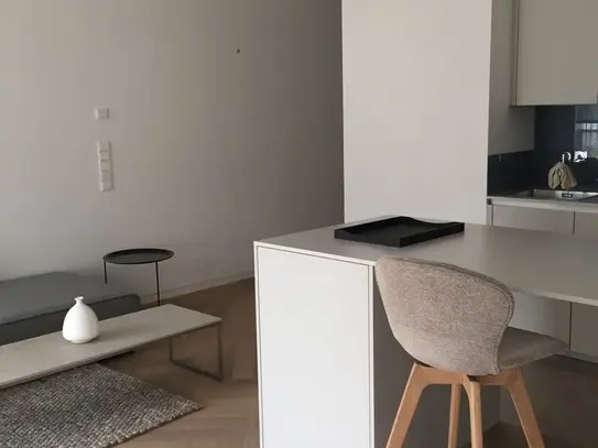 Modern stylish apartment with balcony in Mitte, Berlin - Amsterdam Apartments for Rent