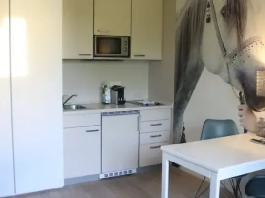 Merianplatz, Frankfurt - Amsterdam Apartments for Rent