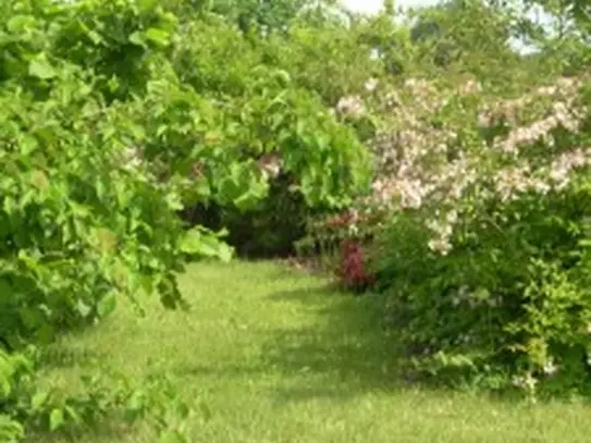 2 zimmer, küche, bad/wc, gartenanteil, 
holzdielenboden in den zimmern