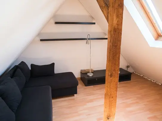 Full furnished fantastic & spacious 3 room appartment in Leinfelden Unteraichen