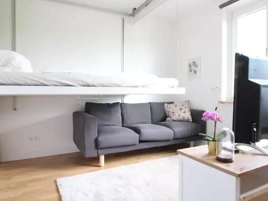 Large apartment in Hamburg-Mitte, Hamburg