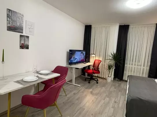Furnished 1-room apartment in a central location