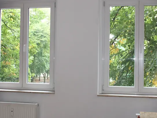 large and bright 2bd flat with view to Arkonaplatz in Berlin Mitte