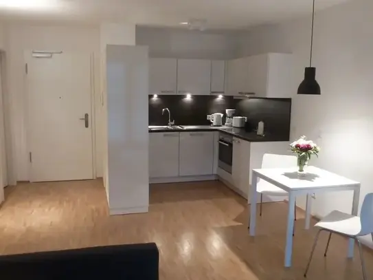 TOP commuter apartment / central location/ very good transport connections, Frankfurt - Amsterdam Apartments for Rent