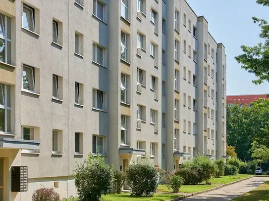 Deine 1-Zimmer-Wohnung in Dresden