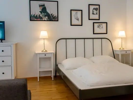 Bright and charming studio flat in the heart of Altlindenau