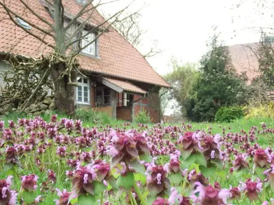 Small parlor - near Schaalsee