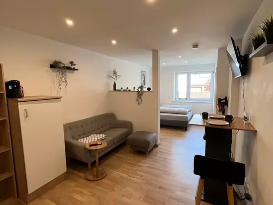 Gemütliches Studio-Apartment in Karlsruhe, Karlsruhe - Amsterdam Apartments for Rent