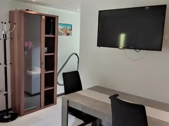 3-room penthouse apartment near airport