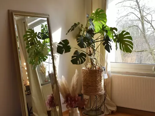 Central and cozy flat in Hannover, Hannover - Amsterdam Apartments for Rent