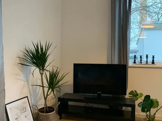 Brand new apartment, coner bright suite (Heinersdorf), Berlin - Amsterdam Apartments for Rent