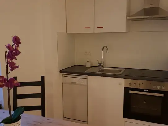 Renovated 1,5 room apartment close to the main station, Koln - Amsterdam Apartments for Rent