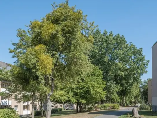 3-Zimmer-Wohnung in Wolfsburg Vorsfelde