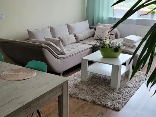 Fully furnished 3-room-apartement in Mainz Bretzenheim