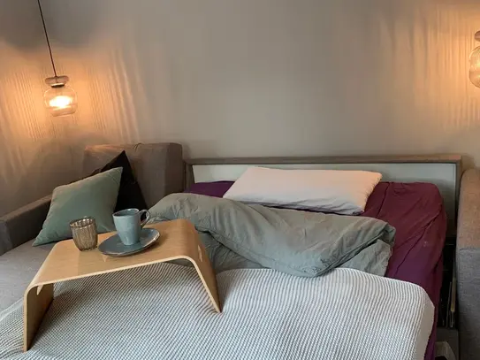 Cozy apartment (Düsseldorf)