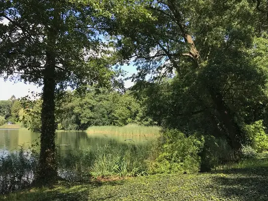 Lakeside apartment in Grunewald (Berlin)