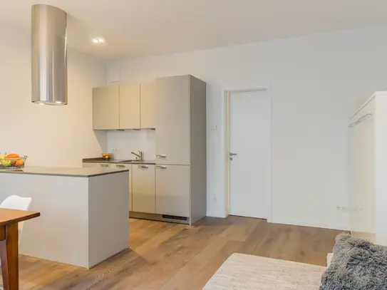 Fully equipped modern new apartment in Prenzlauer Berg/Mitte