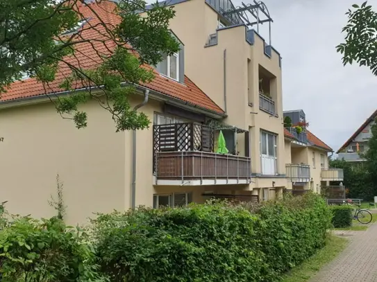 Gemütliche 1,5-Zi.-Whg. mit Terrasse in Dresden Weißig. - triapol Immobilien