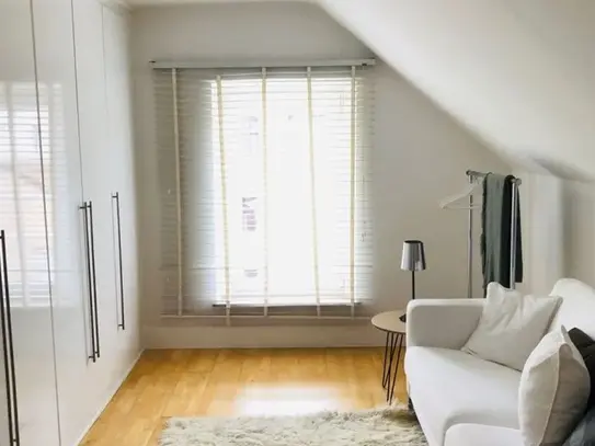 Rooftop Apartment on two floors in Düsseldorf, Dusseldorf - Amsterdam Apartments for Rent