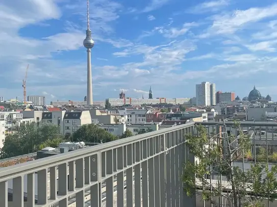 Designer flat in Berlin Mitte with rooftop, Berlin - Amsterdam Apartments for Rent