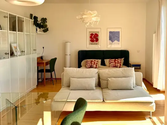 Modern and cosy studio in Prenzlauer Berg (Berlin)