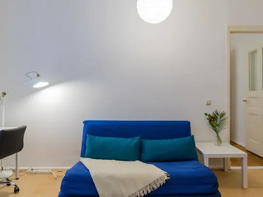 Spacious and cosy studio in Mitte