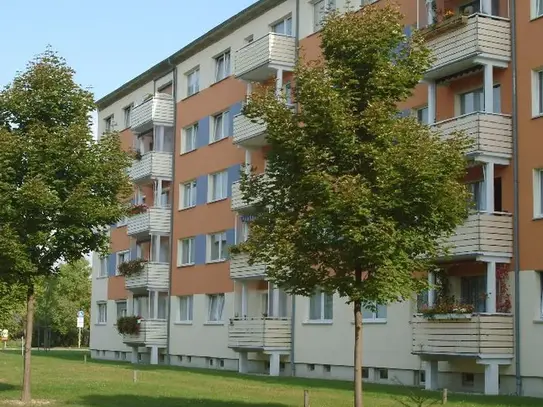 Frisch geweißte 2-Raumwohnung in Großzschocher