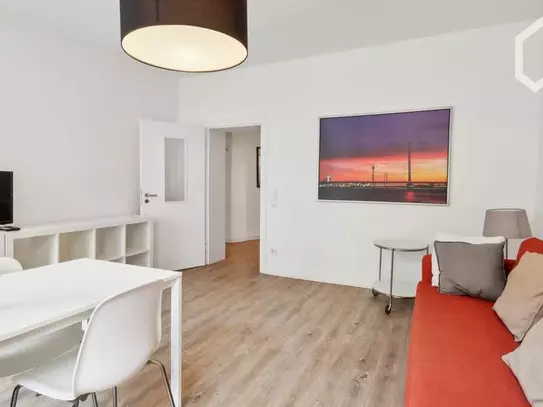 Cozy flat with large sun terrace, Dusseldorf - Amsterdam Apartments for Rent