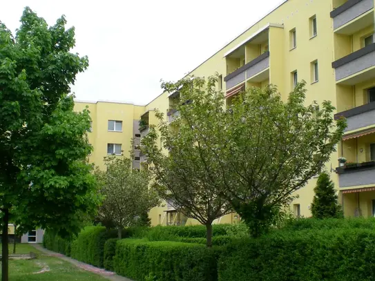 Drewitz, Erich-Pommer-Straße 22, 4-Zi mit 81,10 m², EBK und Balkon