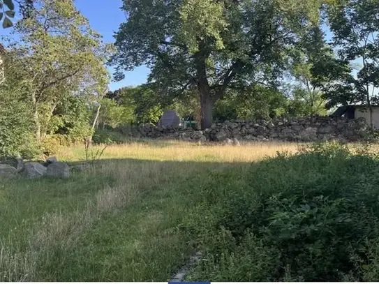 Ruhige und groÃzÃ¼gige Gartenwohnung mit vielen Extras