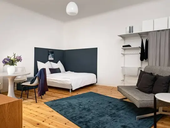 Cozy studio near Helmholtzplatz, Prenzlauer Berg, Berlin - Amsterdam Apartments for Rent