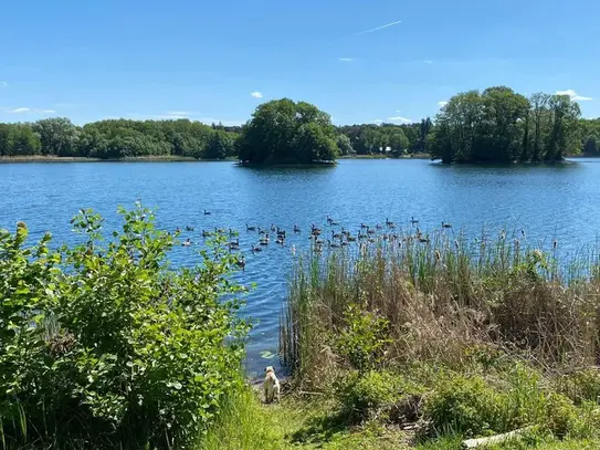 Classic Villa at the lake