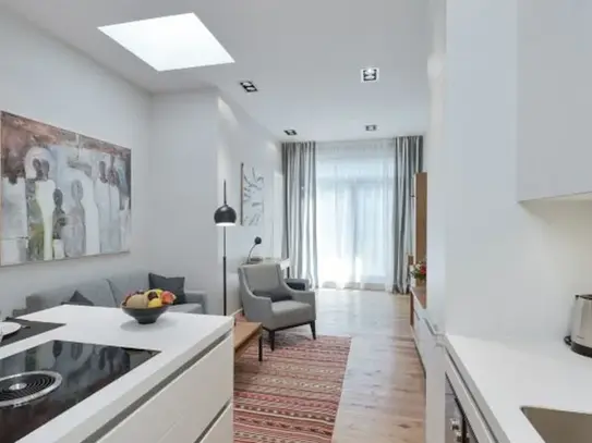 792 | Luxury suite apartment with terrace in the heart of Mitte