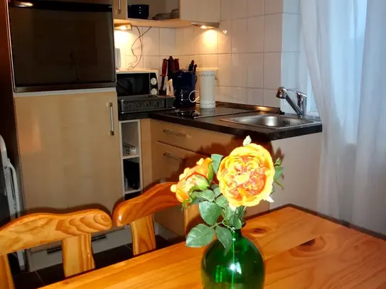 Modern, beautiful duplex suite in Zehlendorf, Berlin - Amsterdam Apartments for Rent