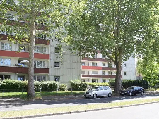 Spacious & lovely flat in Duisburg