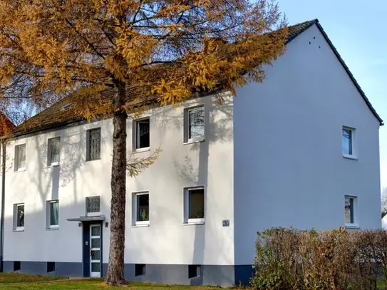 Demnächst frei! 2-Zimmer-Wohnung in Dortmund Bodelschwingh