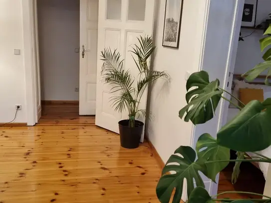 Wonderful, cozy, bright and quiet apartment between Zionskirchplatz and Rosenthaler Platz