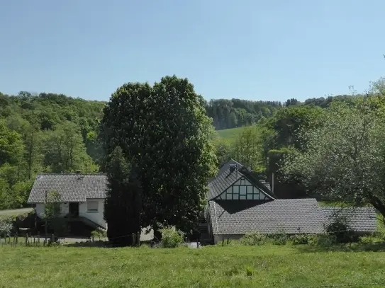 Platz, Ruhe und Natur - hier ist Ihre Kreativität gefragt!