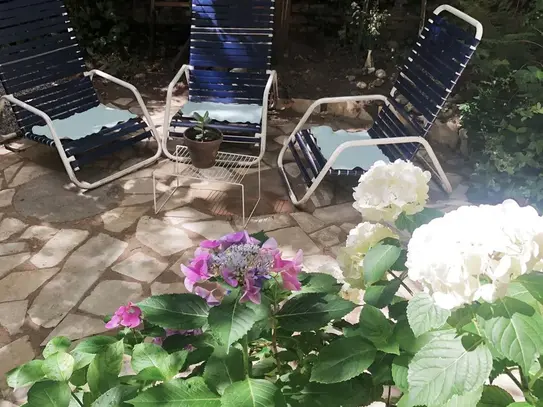 Perfect, beautiful apartment in Neukölln with garden, Berlin - Amsterdam Apartments for Rent