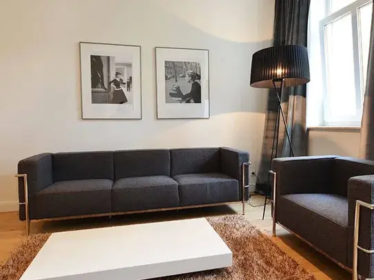 Luxury 1-bedroom business apartment in the middle of Frankfurt city near Goethe house - perfect for interim rent