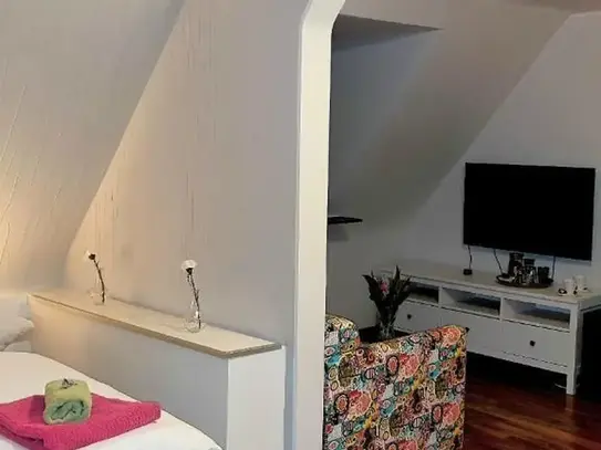 Cozy and fashionable studio in popular area (Kassel)